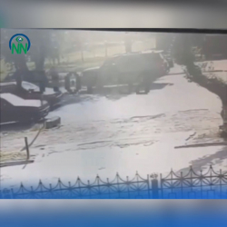 ВИДЕО - Токмокто пенсионер аялды 3 баласы менен ыргыта сүздү