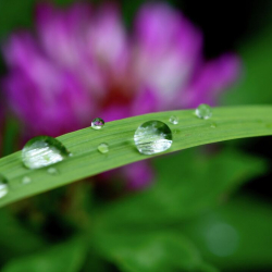 18-майга карата аба ырайы тууралуу маалымат