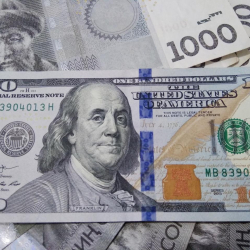 24-май: доллар менен рублдун эртең мененки баасы
