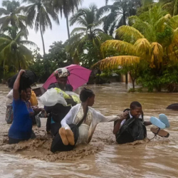 СҮРӨТ - Гаитиде 42 адам нөшөрлөп жааган жамгырдан каза болду