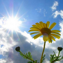 7-июнга карата аба ырайы