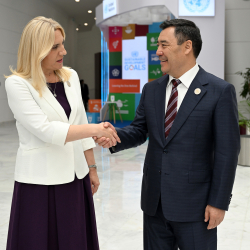 Садыр Жапаров Босния жана Герцеговинанын Президиумунун төрайымы менен жолукту