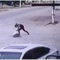 Чүйдө окуучу сабалган окуя: Шектүү камакка алынды