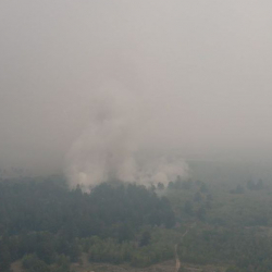 Число жертв лесных пожаров в Казахстане увеличилось до 15 человек