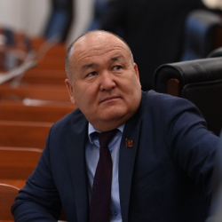 Жеңишбек Токторбаев: Экономика министринин жети орун басары бар экен