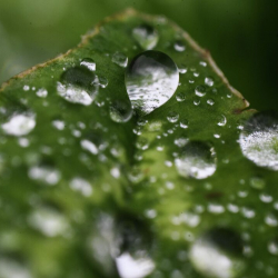 18-июнга карата аба ырайы тууралуу маалымат