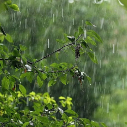 20-июнга карата аба ырайы