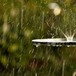 26-июнга карата аба ырайы