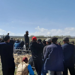 Алайда 2 үй-бүлөдөн 6 адам каза болду