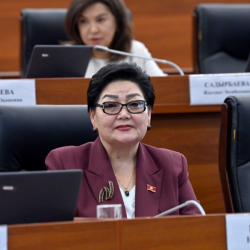 Бейөкмөт уюмдар тууралуу чуулгандуу мыйзам долбоору ЖК комитетинин күн тартибинен алынды