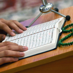 Курандын өрттөлүшү. Талибан Швециянын аракетин катуу айыптап, ислам өлкөлөрүн чара көрүүгө чакырды