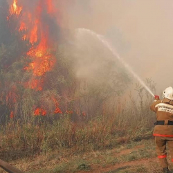 Казакстандагы ири өрт: Бир нече жетекчиге карата кылмыш иши козголду