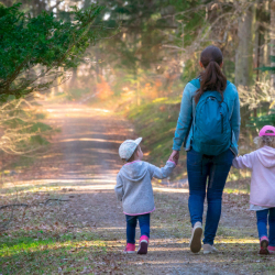 Конституциялык палата 
