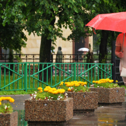 Нөшөрлөп жаан жаайт. ӨКМ шашылыш билдирүү таратты