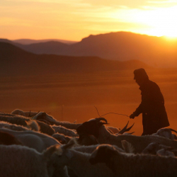 Түптө дайынсыз болуп жаткан малчынын кайда жүргөнү аныкталды