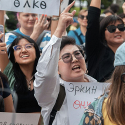 Бишкекте митинг өткөрүүгө коюлган чектөөнүн мөөнөтү үч айга узартылды