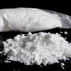 Ак үйдөн табылган ак порошок кокаин болуп чыкты