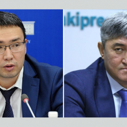 Жогорку Кеңештин жаңы депутаттары кимдер боло алат?