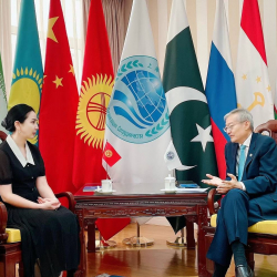 Кыргызстандын Кытайдагы элчиси ШКУнун башкы катчысы Чжан Мин менен жолугушту