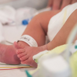 Бишкекте төрөт учурунда полго түшүп кеткен ымыркайдын чуусу.  Медиктер жазаланды