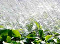 Өлкө аймагында нөшөрлүү жаандан улам сел жүрүшү мүмкүн