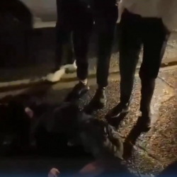 ВИДЕО - Бишкектин чок ортосунда айдоочу жөө жүргүнчүнү сүзүп качып кеткен