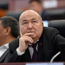 Бир күнү бээ, бир күнү төө деген Токторбаев...