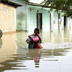 ВИДЕО - В Индии из-за ливней погибли 22 человека