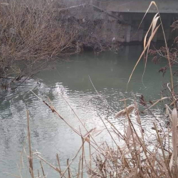 Бишкекте каналдан аялдын жансыз денеси табылды