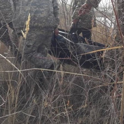 Оштогу жайлоодон чет өлкөлүк жарандын сөөгү табылды