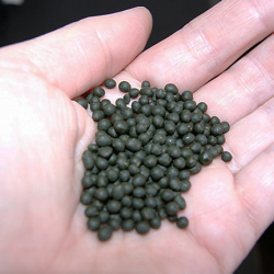 Баткенде 7 тонна насвай алып кетип бара жаткан айдоочу кармалды