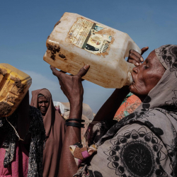 Число голодающих в мире на фоне различных кризисов возросло на 122 млн человек - CCTV