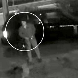 Шымы шыпырылган чиновник үй камагына чыкты