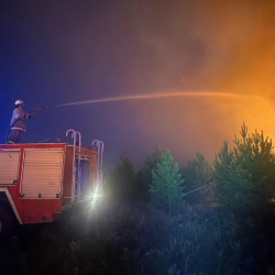 СҮРӨТ - Казакстанда кайрадан токой өрттөнүп жатат