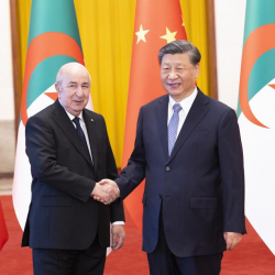 Си Цзиньпин Алжирдин президенти менен сүйлөшүү өткөрдү