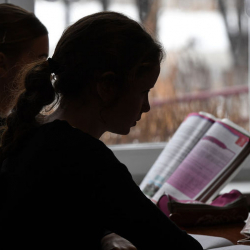 Окуучу кызга ыдык көрсөтүүгө айыпталган мектеп директорунун иши сотко өтөт