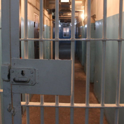 Племянник президента Улан Жапаров оставлен в СИЗО-1 до 26 июля