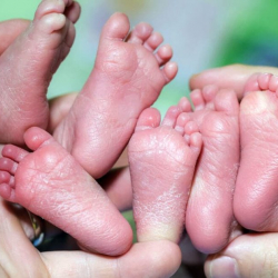 Сүйүнчү! Ошто 21 жаштагы келин үч эм төрөдү