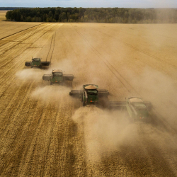 Россия будет поставлять пшеницу нуждающимся странам и без зерновой сделки
