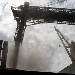 Страны Африки намерены обсудить с Путиным возобновление зерновой сделки