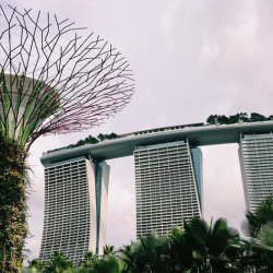 В Сингапуре впервые за почти 20 лет казнили женщину