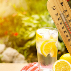 31-июлга карата өлкөдө күтүлгөн аба ырайы