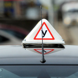 Чүйдө эки автомектептин иши токтотулду