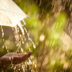 2-августка карата аба ырайы