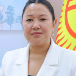 Ыргал Кадыралиева депутаттыкка ат салышат