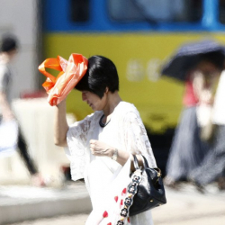 Түштүк Кореяда ысыктан улам 23 адам өмүрү менен кош айтышты