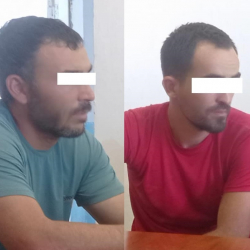 Баткенде алты баш бодо малды уурдап бараткандар кармалды