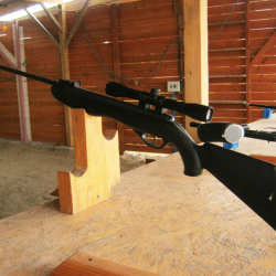 Аксыда 9 жаштагы баланы тир мылтыгы менен тууганы атып алган