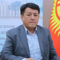 Өкмөттүн мурдагы кызматкери депутат болууну көздөп жатат