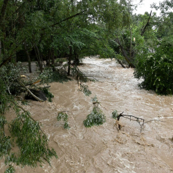 ӨKM шашылыш билдирүү таратты